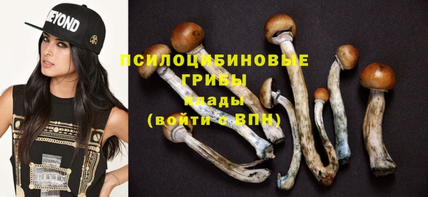 spice Алексеевка