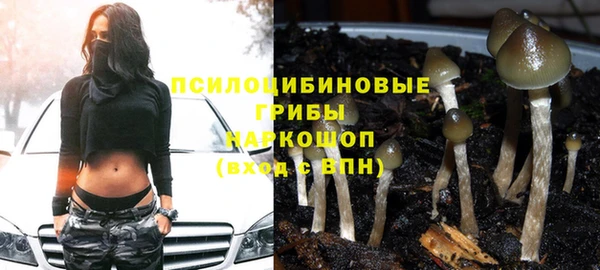 spice Алексеевка