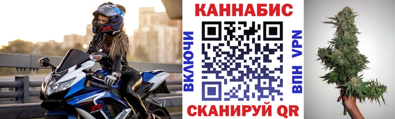 Бошки Шишки планчик  Разумное 
